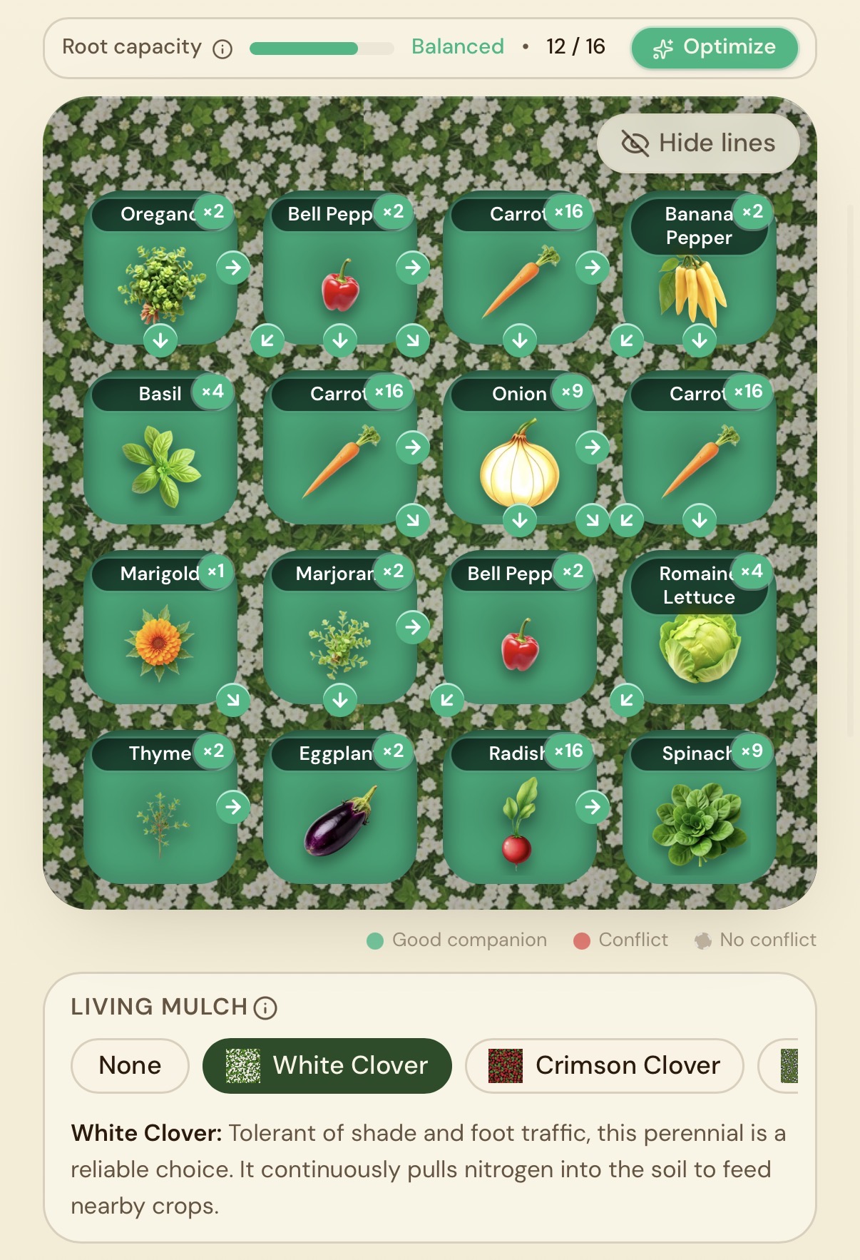 Companion Planting Garden Planner