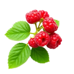 Raspberry