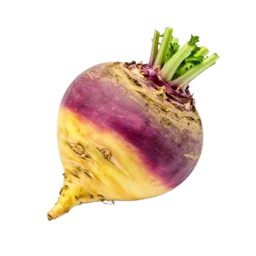 Rutabaga