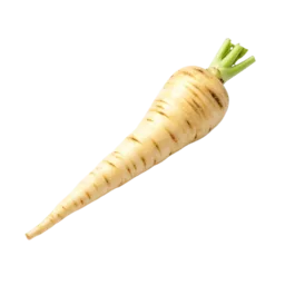 Parsnip