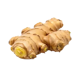 Ginger