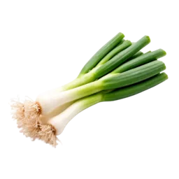 Spring Onion
