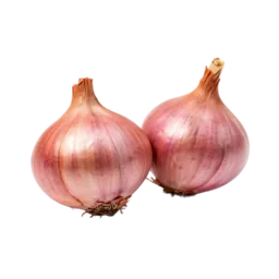 Shallot