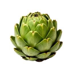 Artichoke