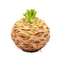 Celery Root