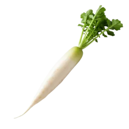 Daikon