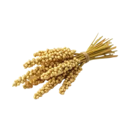 Quinoa