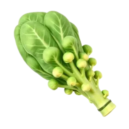 Brussels Sprouts