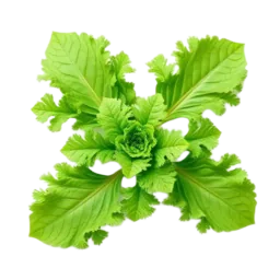 Mustard Greens