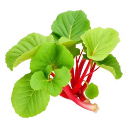 Rhubarb