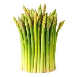 Asparagus