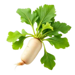 Horseradish