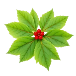 Goldenseal