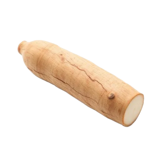 Cassava