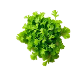 Parsley