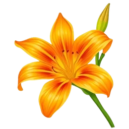 Daylily