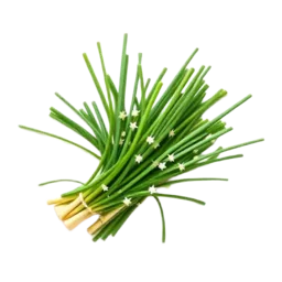 Garlic Chives
