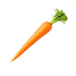 Carrot
