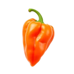 Habanero