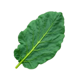 Kale