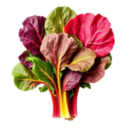 Swiss Chard