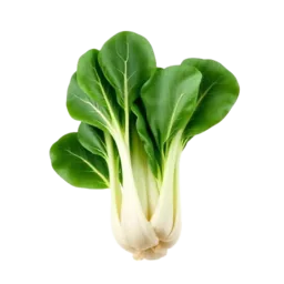 Bok Choy