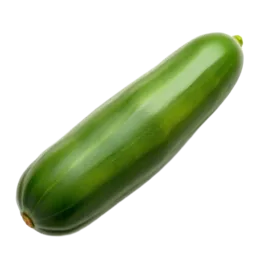 Cucumber