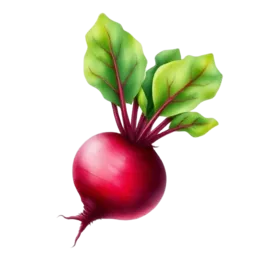 Beet