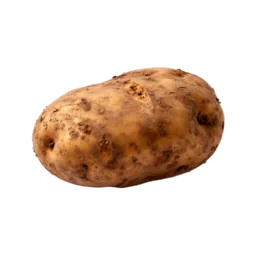 Potato