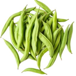 Bush Bean