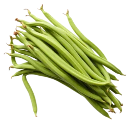 Pole Bean