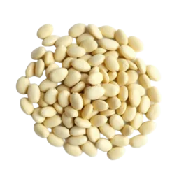Lima Bean