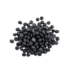 Black Bean