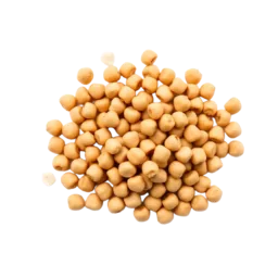 Garbanzo Bean