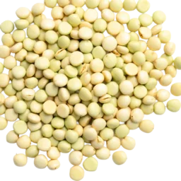 Fava Bean