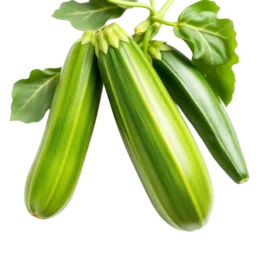 Zucchini