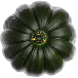 Acorn Squash