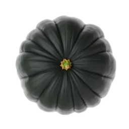 Kabocha Squash